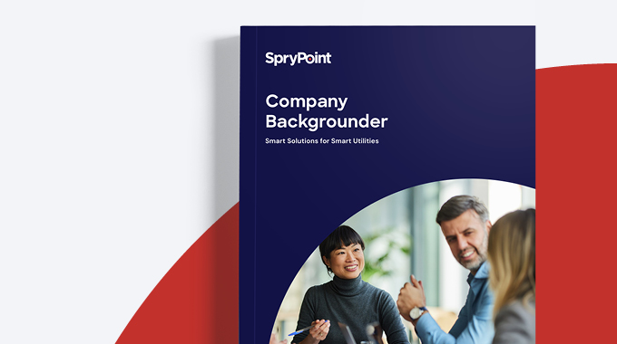 Company Backgrounder